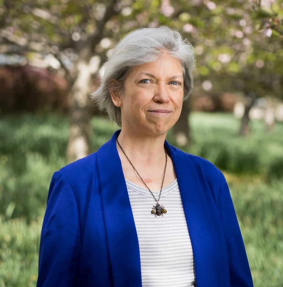 Grimm Retold Author Feature: Carol&nbsp;Gyzander